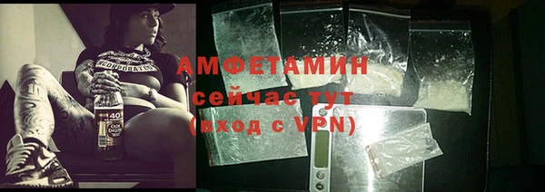 прущие грибы Новый Уренгой